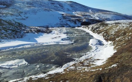 Amaroq to switch Icelandic listing