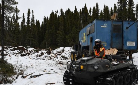 Maple in sticky spot