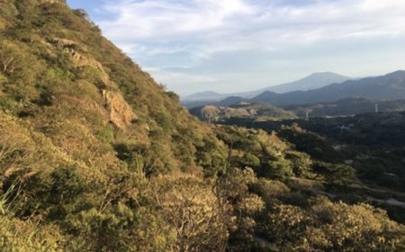 GoGold updates Los Ricos South PEA