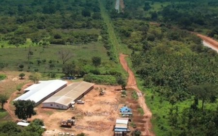 Montage Gold looks to finance Kone