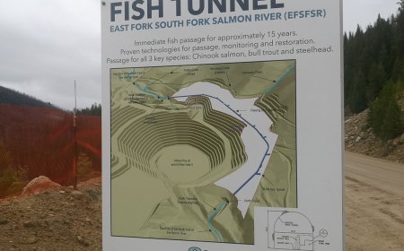 America's next gold mine?