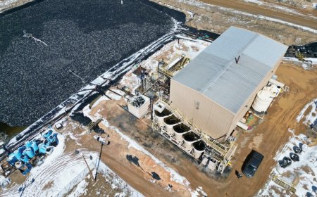 'Networks' back Borealis, Nevada's next gold play