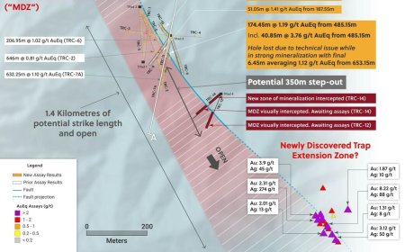 Collective springs Trap discovery