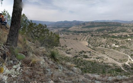 Almaden pursues arbitration against Mexico