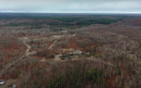 MacDonald Mines also withdraws assay results after inconsistencies