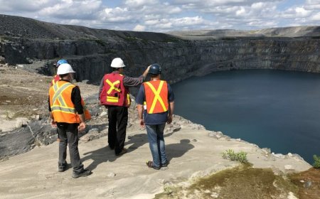 Iron ore price falls over 15% in 2024 on faltering China demand, high portside stocks