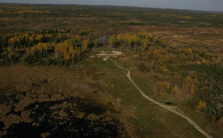 Treasury Metals to buy Blackwolf Copper and Gold