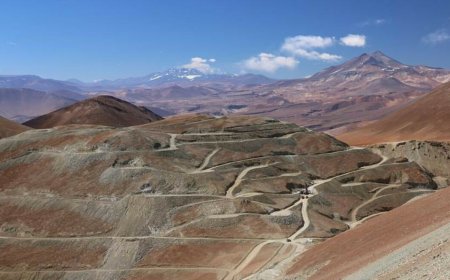 Rio2 off to the races in belle epoch