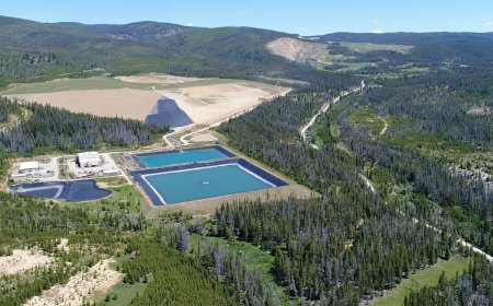 Revival scales with Mercur buy