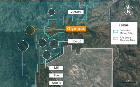 Collective make Olympus Deeps discovery