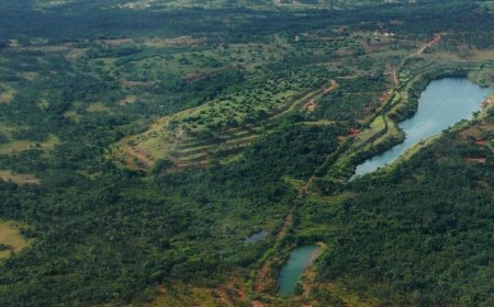 Aura looking to next growth phase