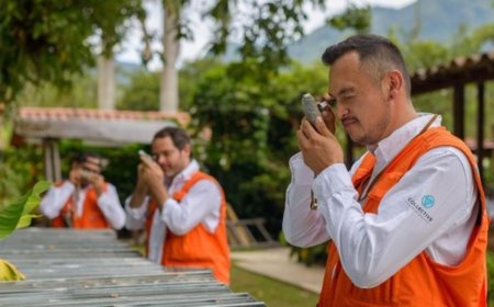 Collective drilling hard to grow to 10Moz