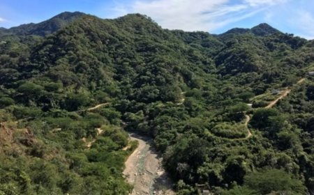 Vizsla posts 48.7% increase to Panuco resource