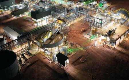 Fortuna Silver in harvest mode