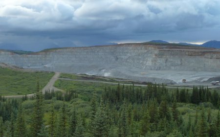 Imperial, Dundee report YoY growth