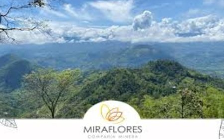 LCL gets Miraflores environmental permit