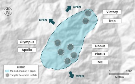 Collective confirms Plutus discovery