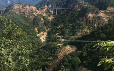 Vizsla confirms starter pit potential