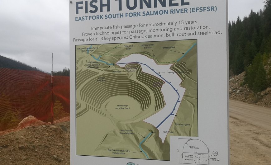 America's next gold mine?