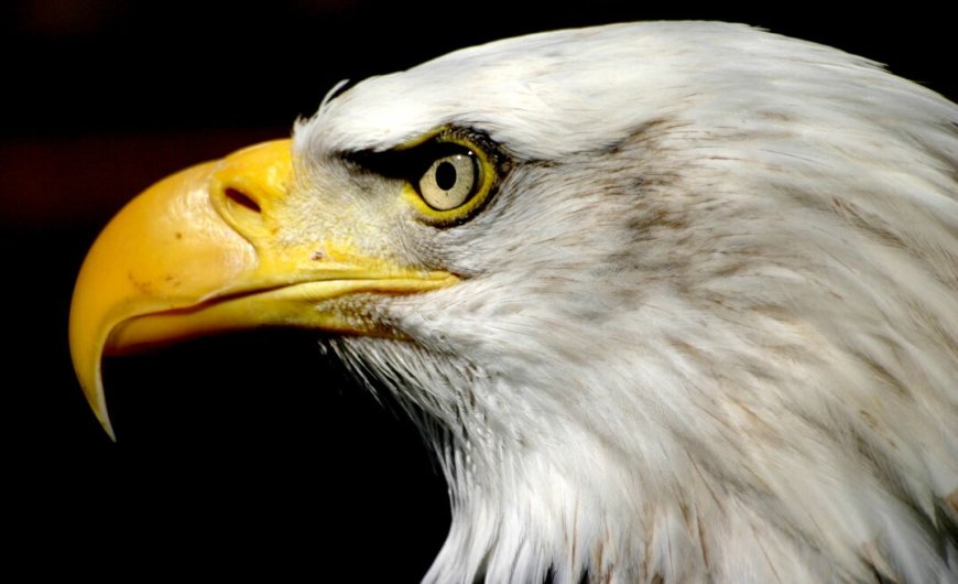 Key US inflation data due Wednesday … but will sizzling gold keep shrugging regardless?