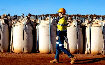 Australia’s minerals stockpile to tackle ‘distorted’ rare earths market