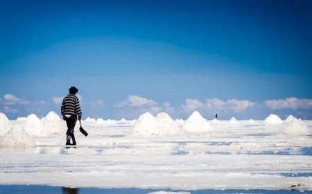 Bolivian court pauses Chinese, Russian lithium deals