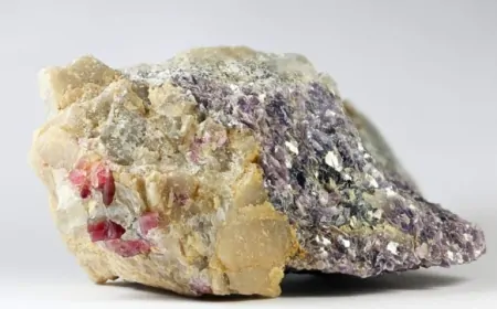 China achieves breakthrough in rubidium extraction