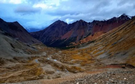 African Rainbow boosts Surge Copper stake to 19.9%