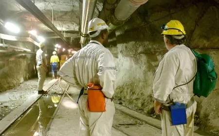 Harmony’s profit jumps on record-high gold prices, copper plans advance