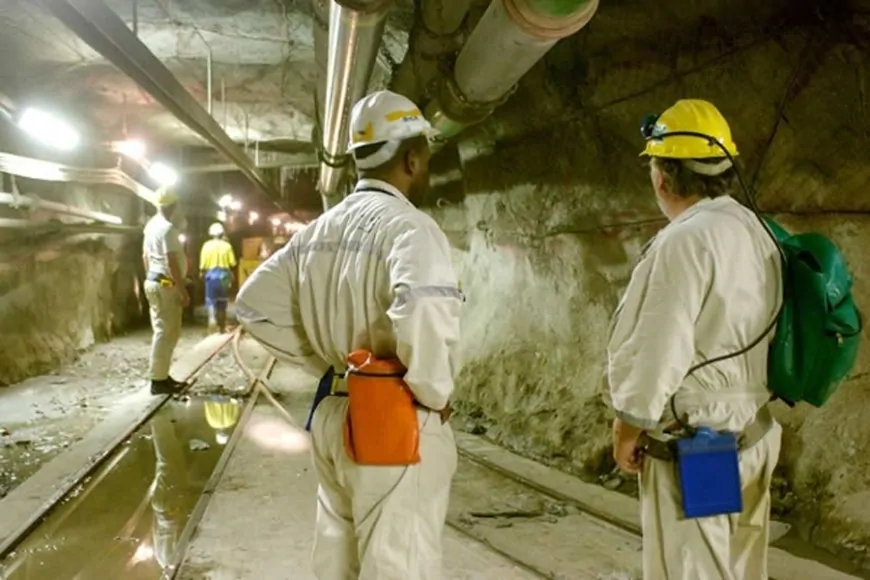 Harmony’s profit jumps on record-high gold prices, copper plans advance